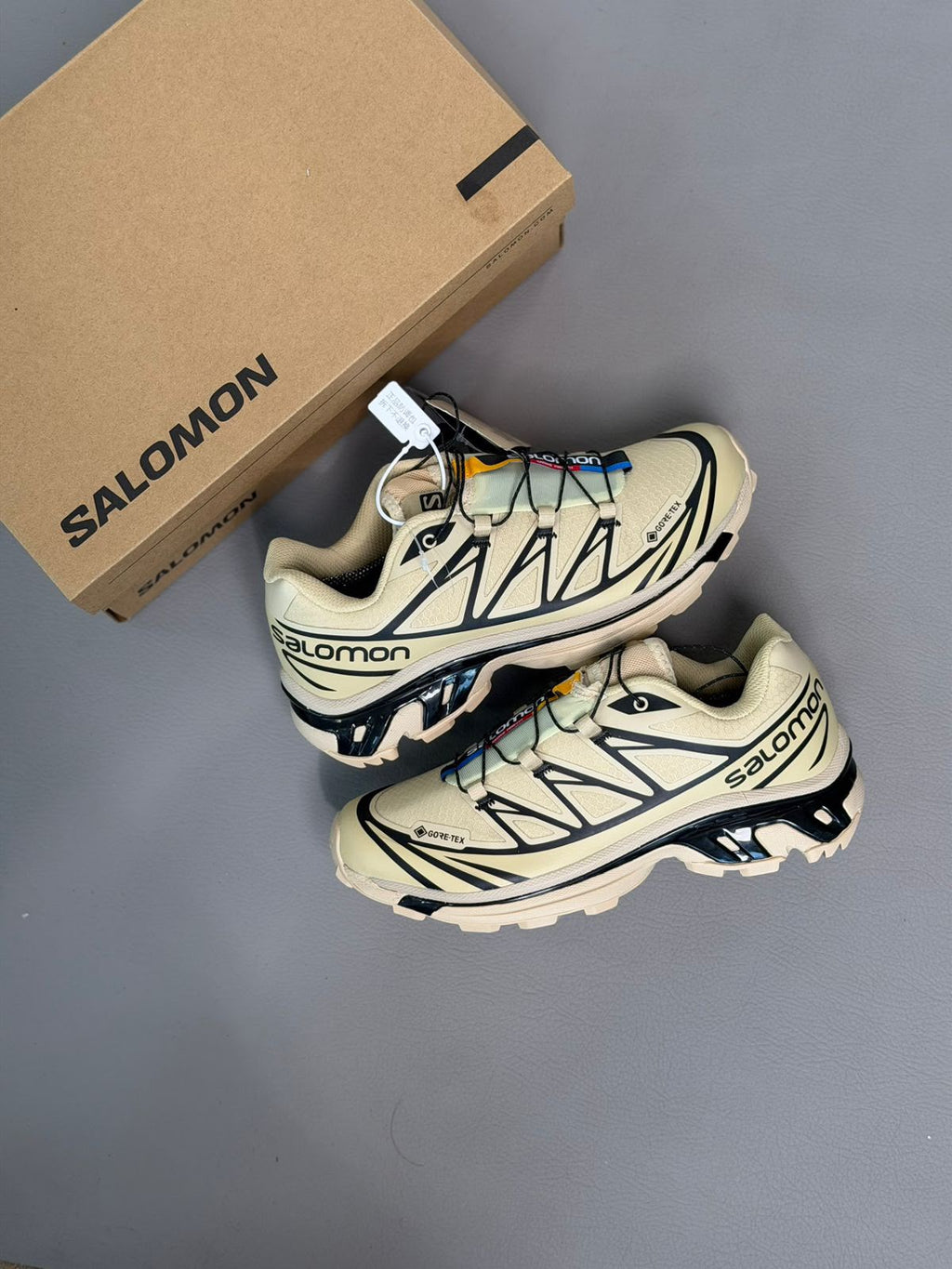 Salomon XT6