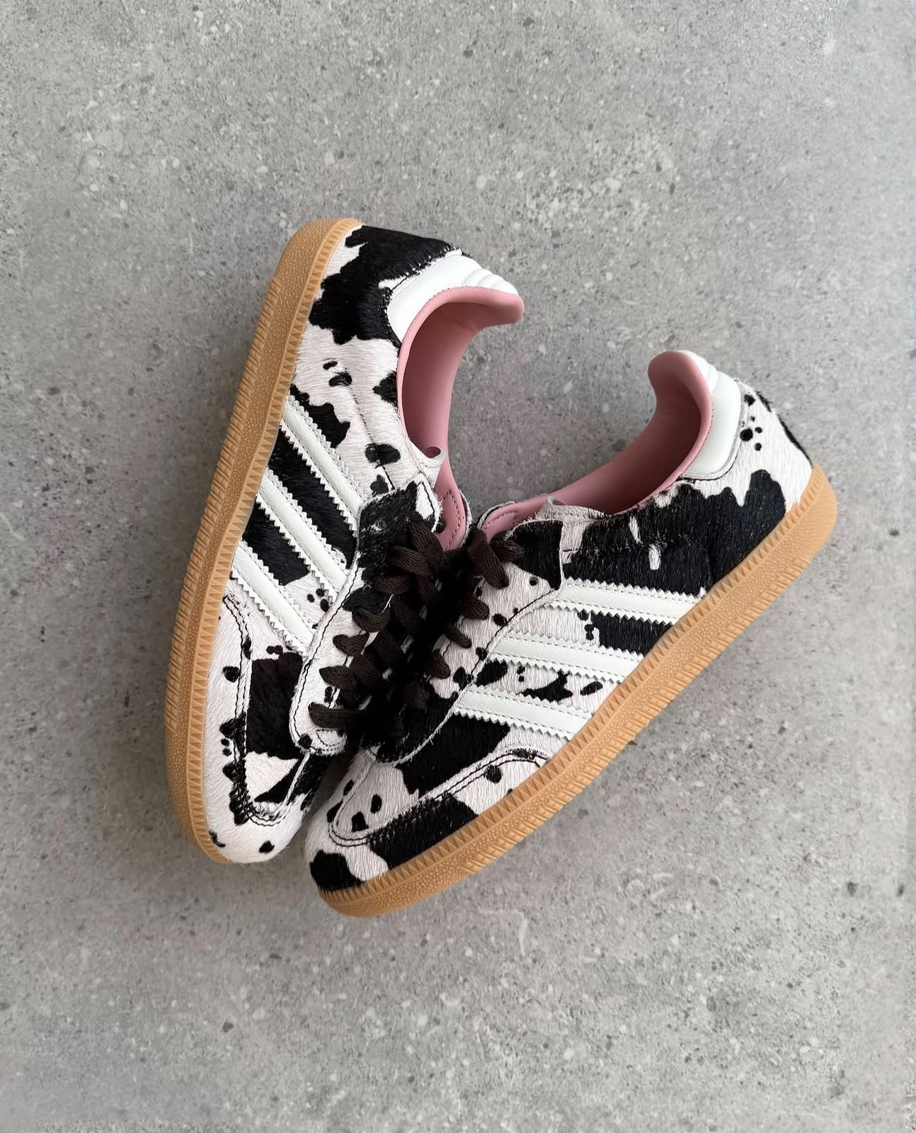 Samba Cow Print