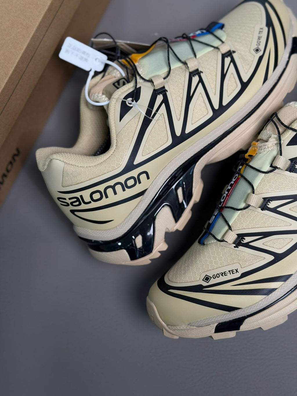 Salomon XT6