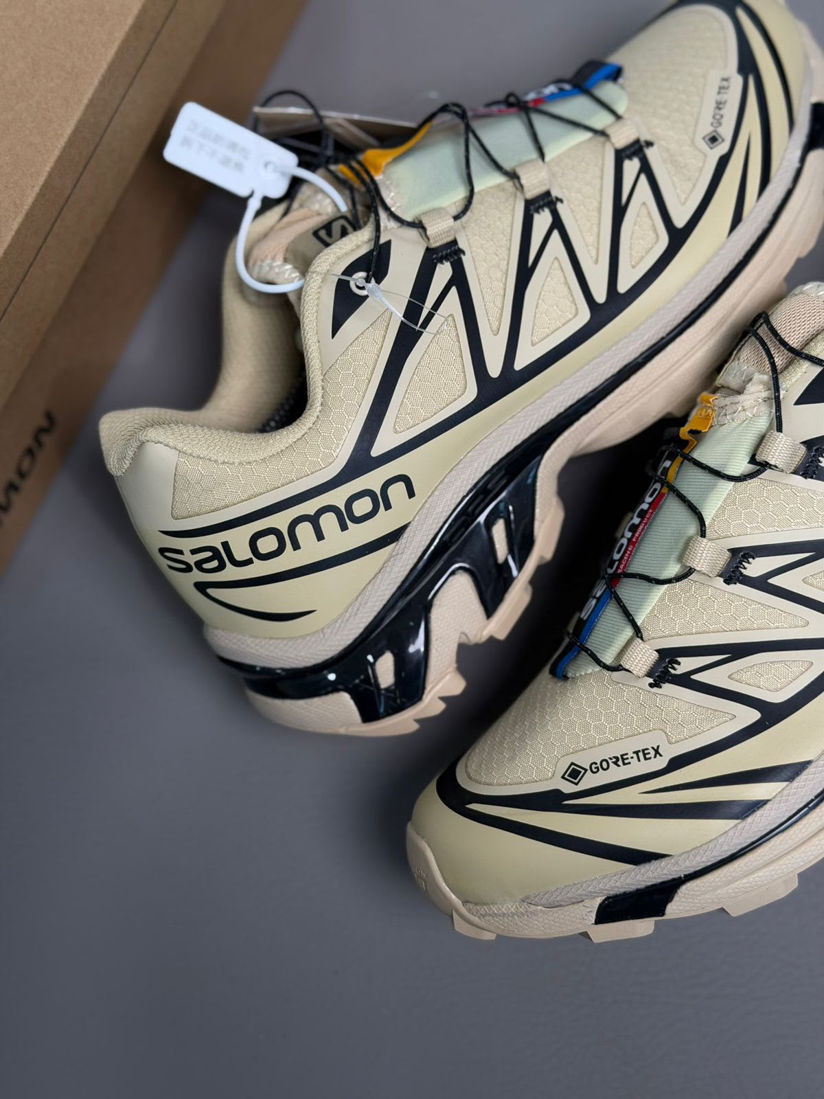 Salomon XT6